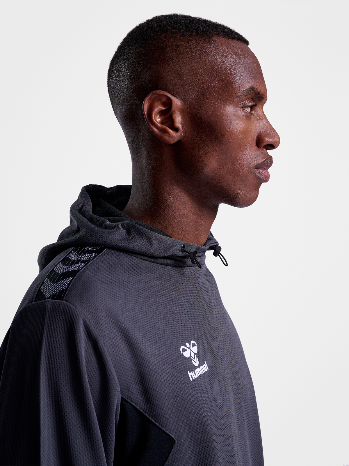 hmlAUTHENTIC PL HOODIE