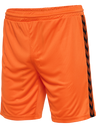 WER 23/24 GK SHORTS