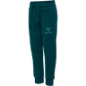 hmlFASTWO PANTS