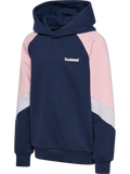 hmlJR LOOSE BLOCKED HOODIE