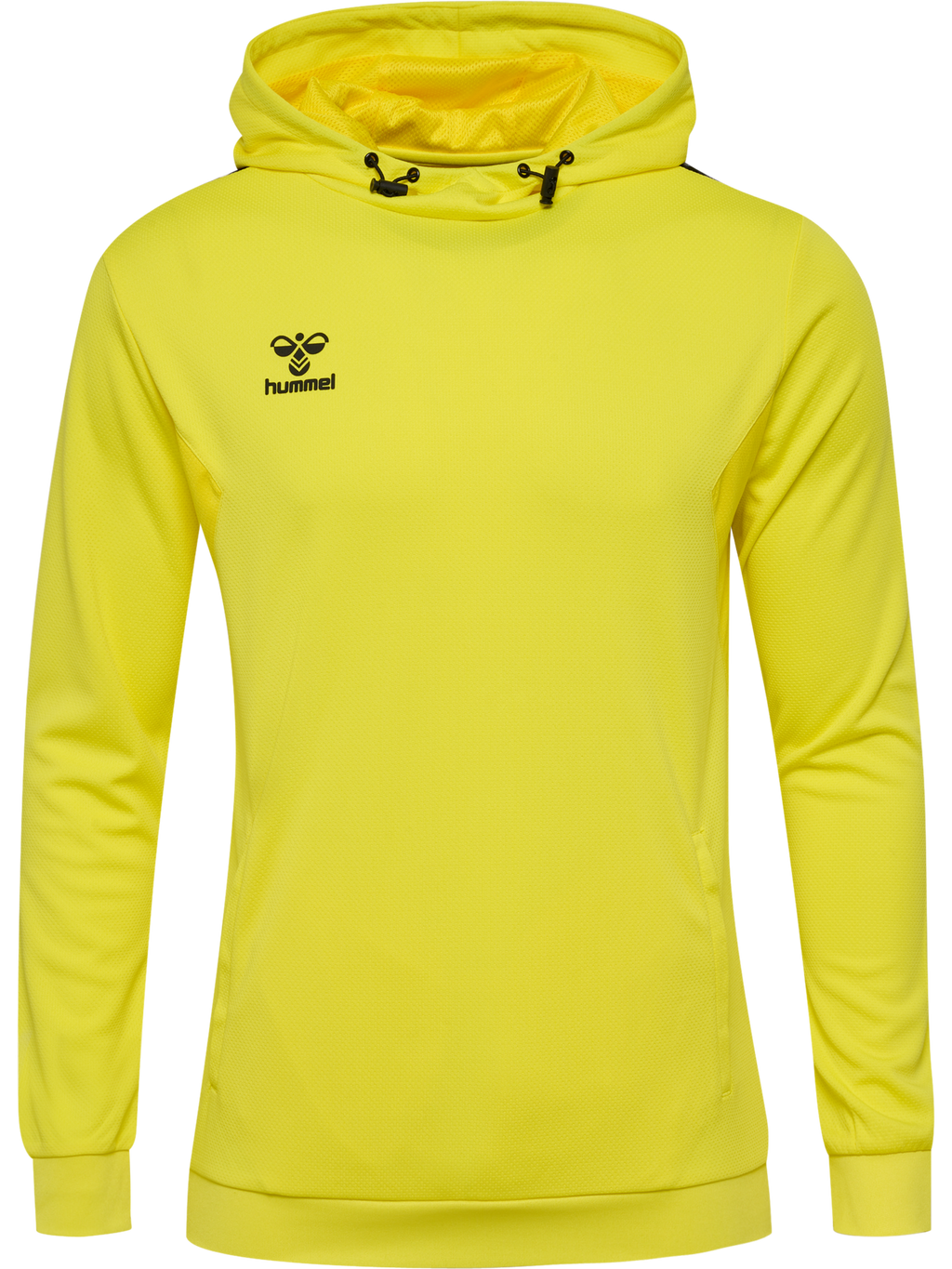hmlAUTHENTIC PL HOODIE