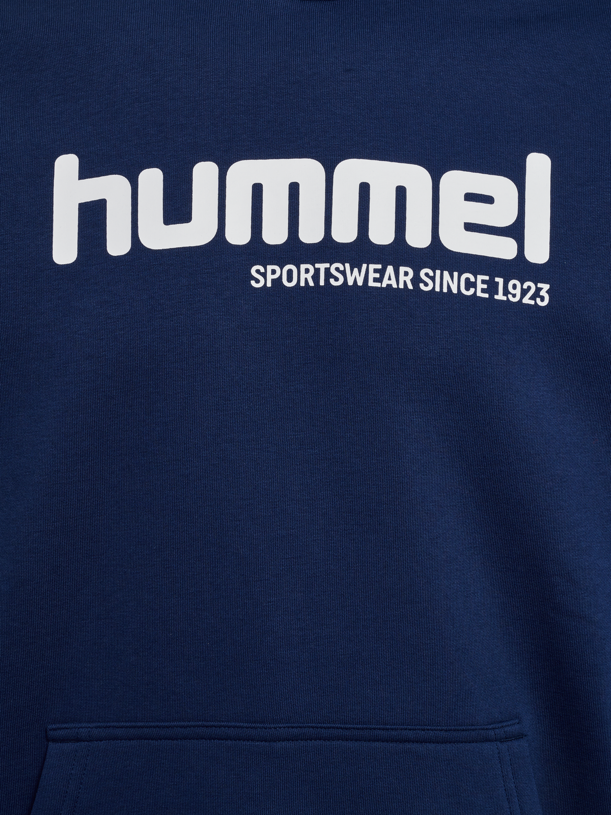 hmlSW GRAPHIC HOODIE
