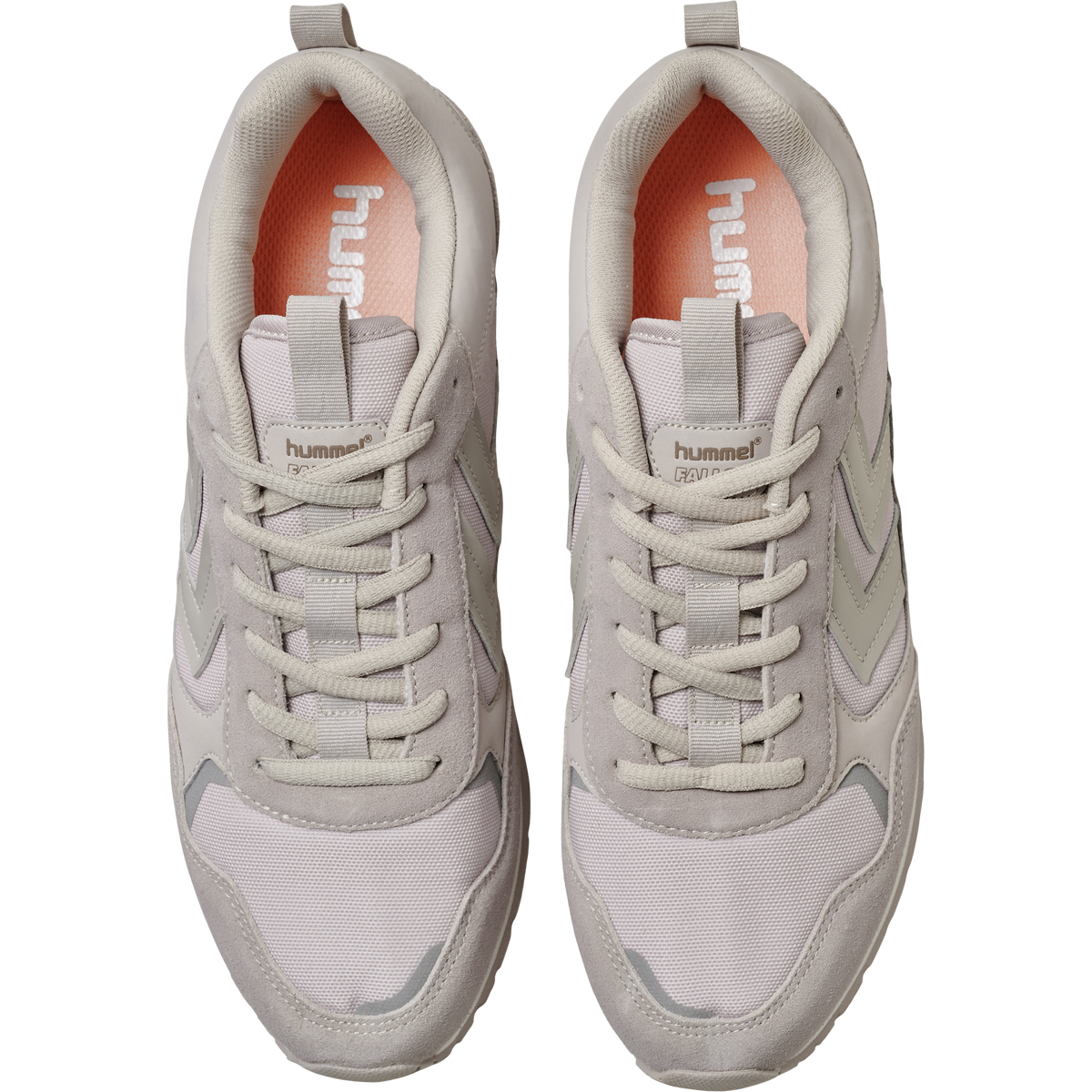 FALLON TONAL