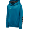 hmlAUTHENTIC KIDS POLY HOODIE