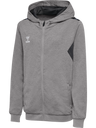 hmlAUTHENTIC PL ZIP HOODIE KIDS