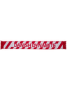 DBU 26 FAN SCARF