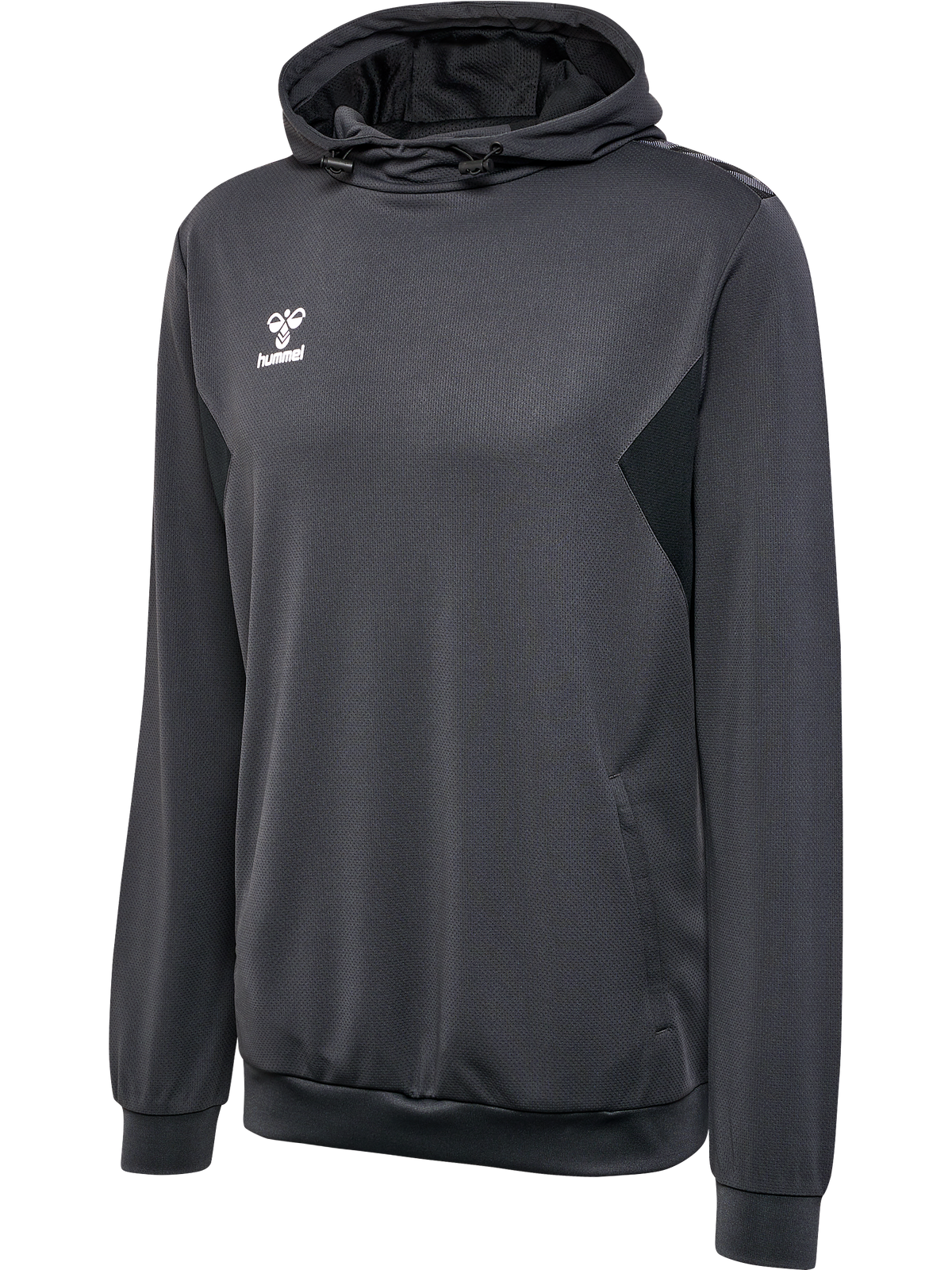 hmlAUTHENTIC PL HOODIE