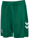 DBU 26 GK SHORTS KIDS