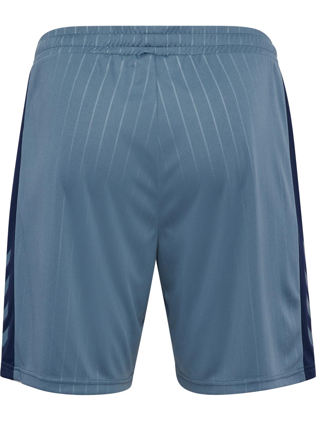 hmlPULSE STRIPE BLOCKED SHORTS