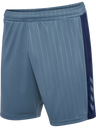 hmlPULSE STRIPE BLOCKED SHORTS