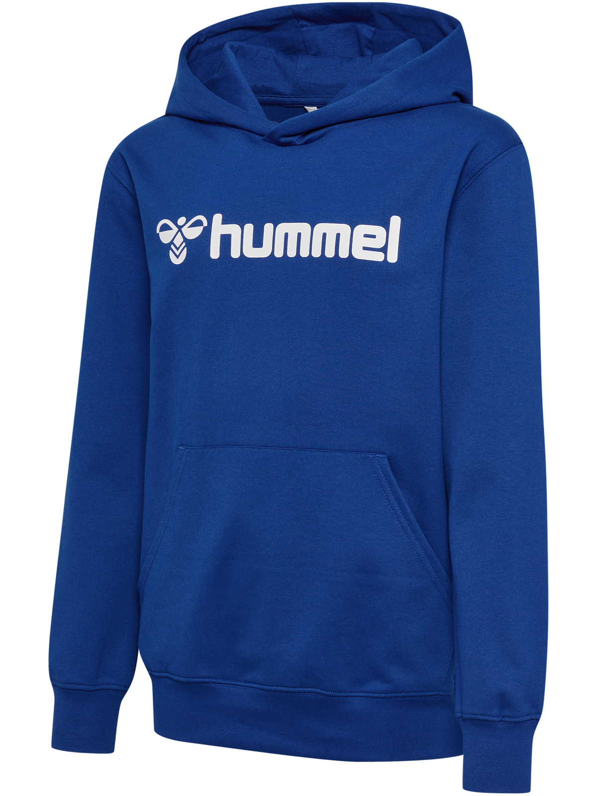 hmlGO 2.0 LOGO HOODIE KIDS