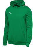 hmlAUTHENTIC PL HOODIE