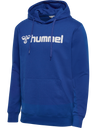 hmlGO 2.0 LOGO HOODIE