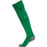 ASSE 22/23 HOME FB SOCKS