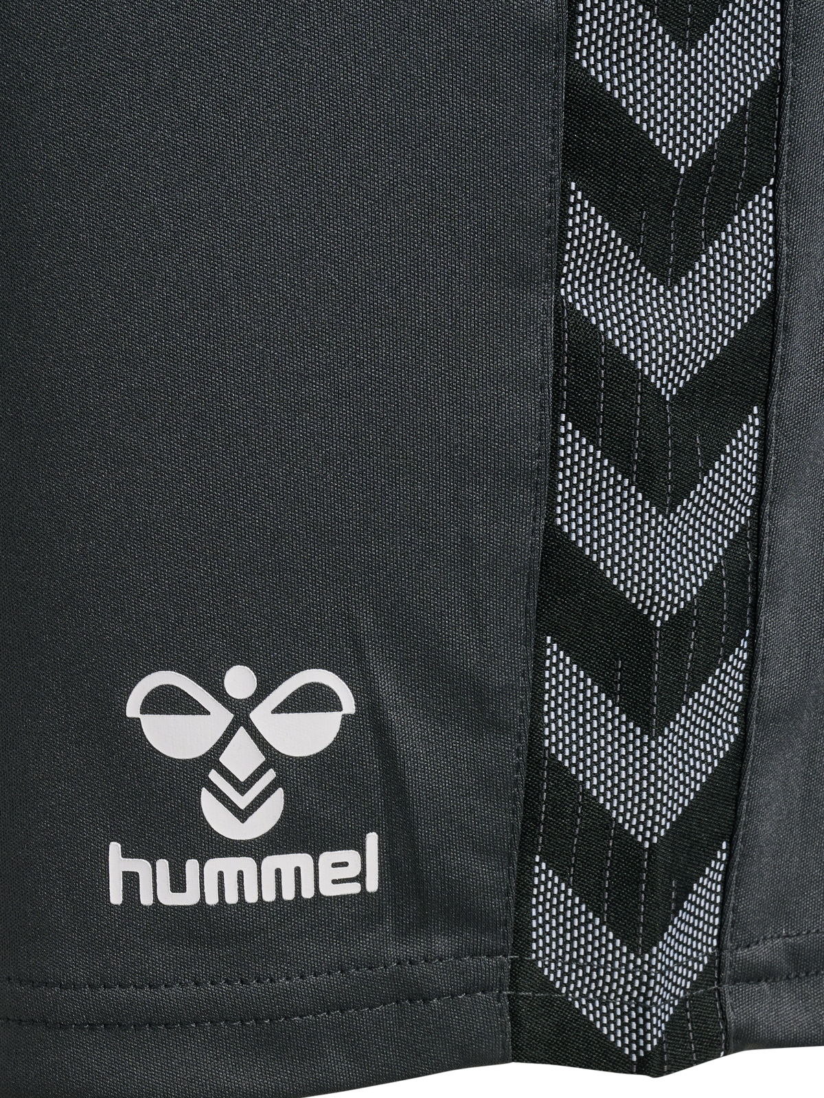 hmlAUTHENTIC PL SHORTS WOMAN