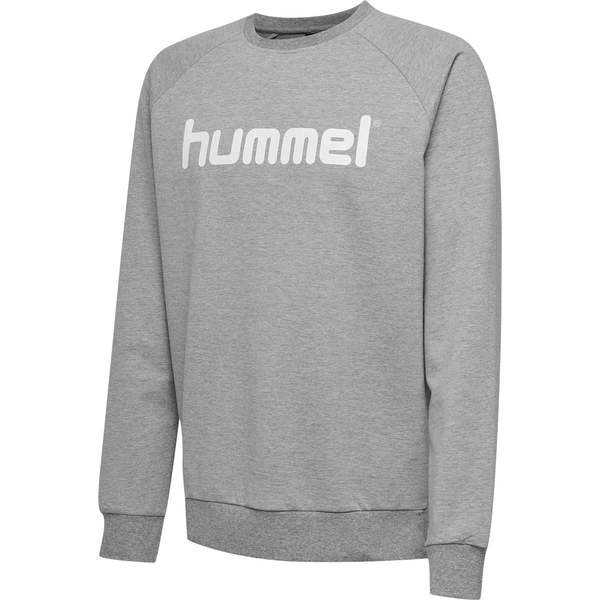 hmlGO KIDS COTTON LOGO SWEATSHIRT