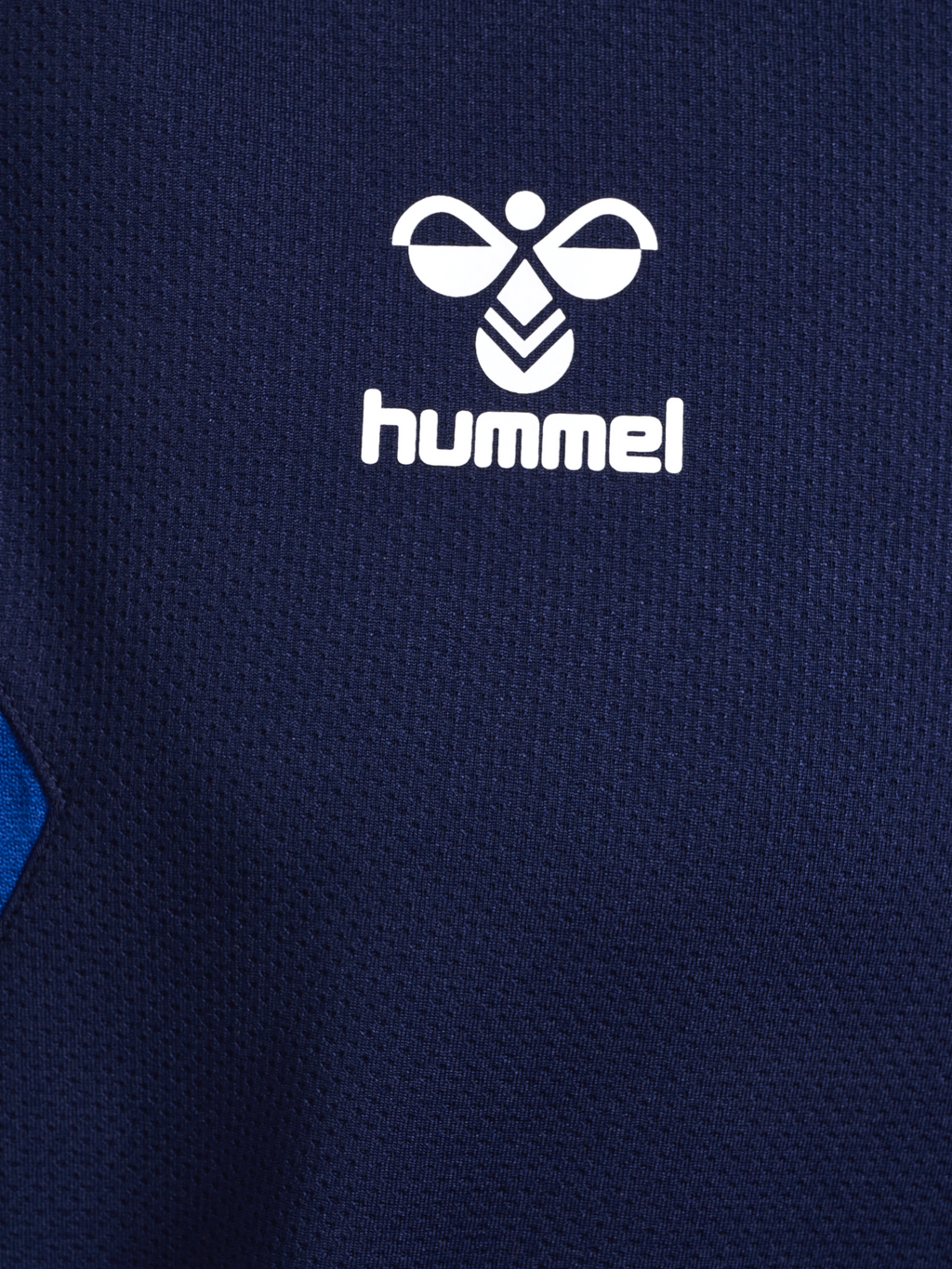 hmlAUTHENTIC PL HOODIE