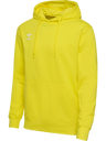 hmlGO 2.0 HOODIE