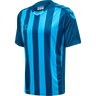 hmlCORE XK STRIPED JERSEY S/S