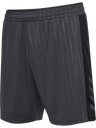 hmlPULSE STRIPE BLOCKED SHORTS