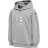hmlPRIMA BEE HOODIE