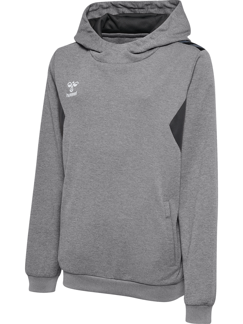 hmlAUTHENTIC PL HOODIE KIDS